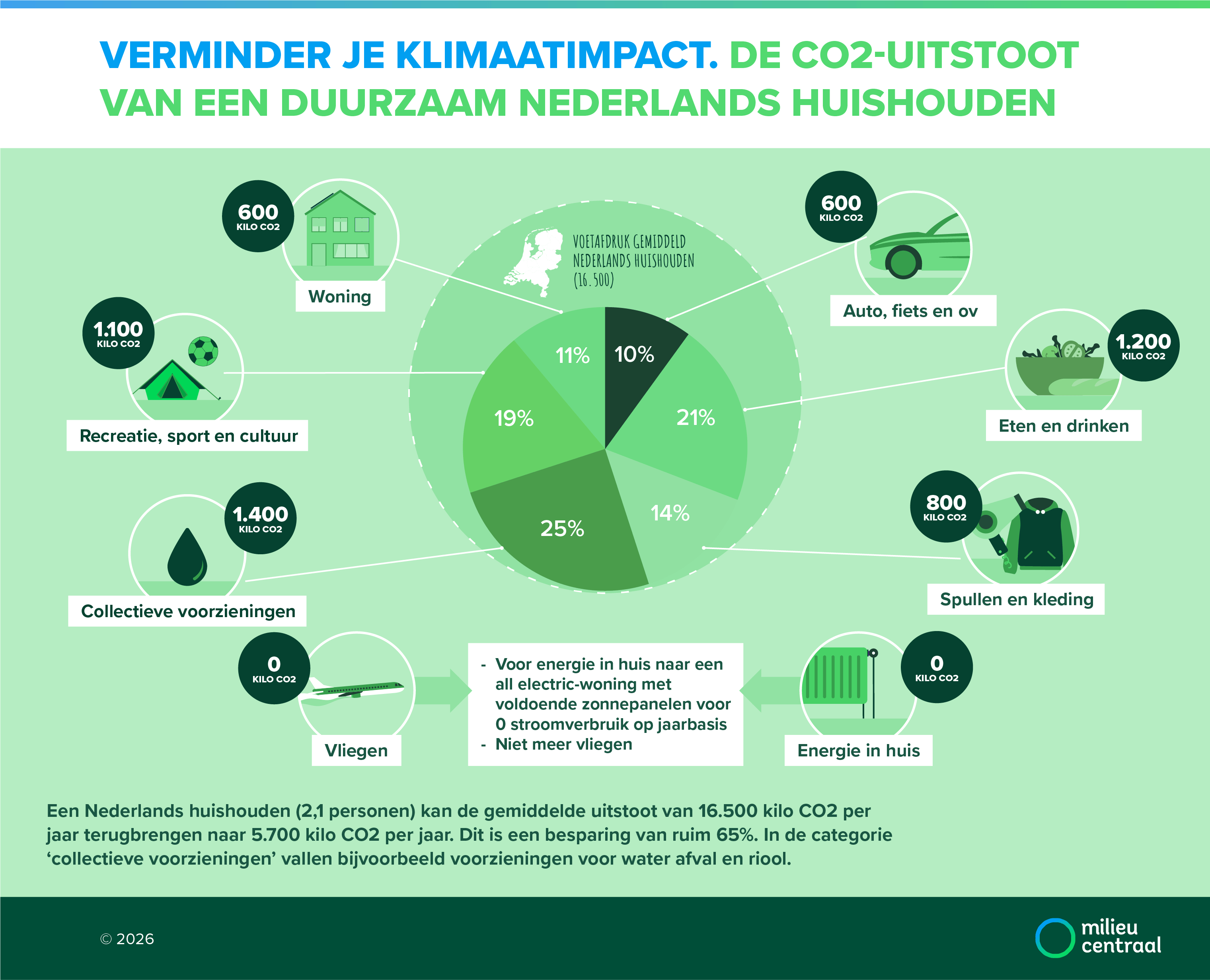 Infographic over het halveren van je voetafdruk. 