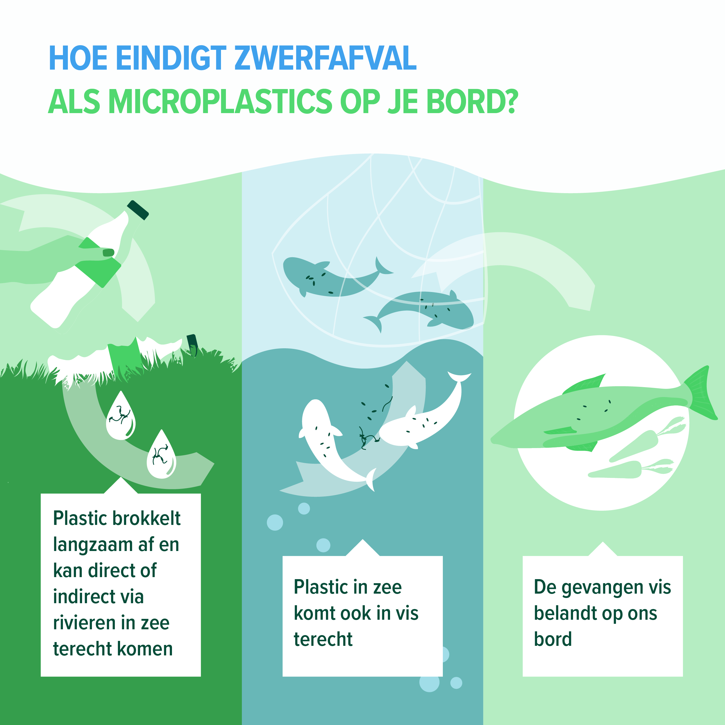 Infographic over hoe zwerfafval op je bord belandt. Afbeelding van plastic flesje in de natuur: plastic brokkelt langzaam af en kan direct of indirect via rivieren in zee terecht komen. Afbeelding van plastic resten in zee, met vissen in een visnet: plastic in zee komt ook in vis terecht. Afbeeldingen van een vis op het bord, met restjes plastic in de vis: de gevangen vis belandt op ons bord.