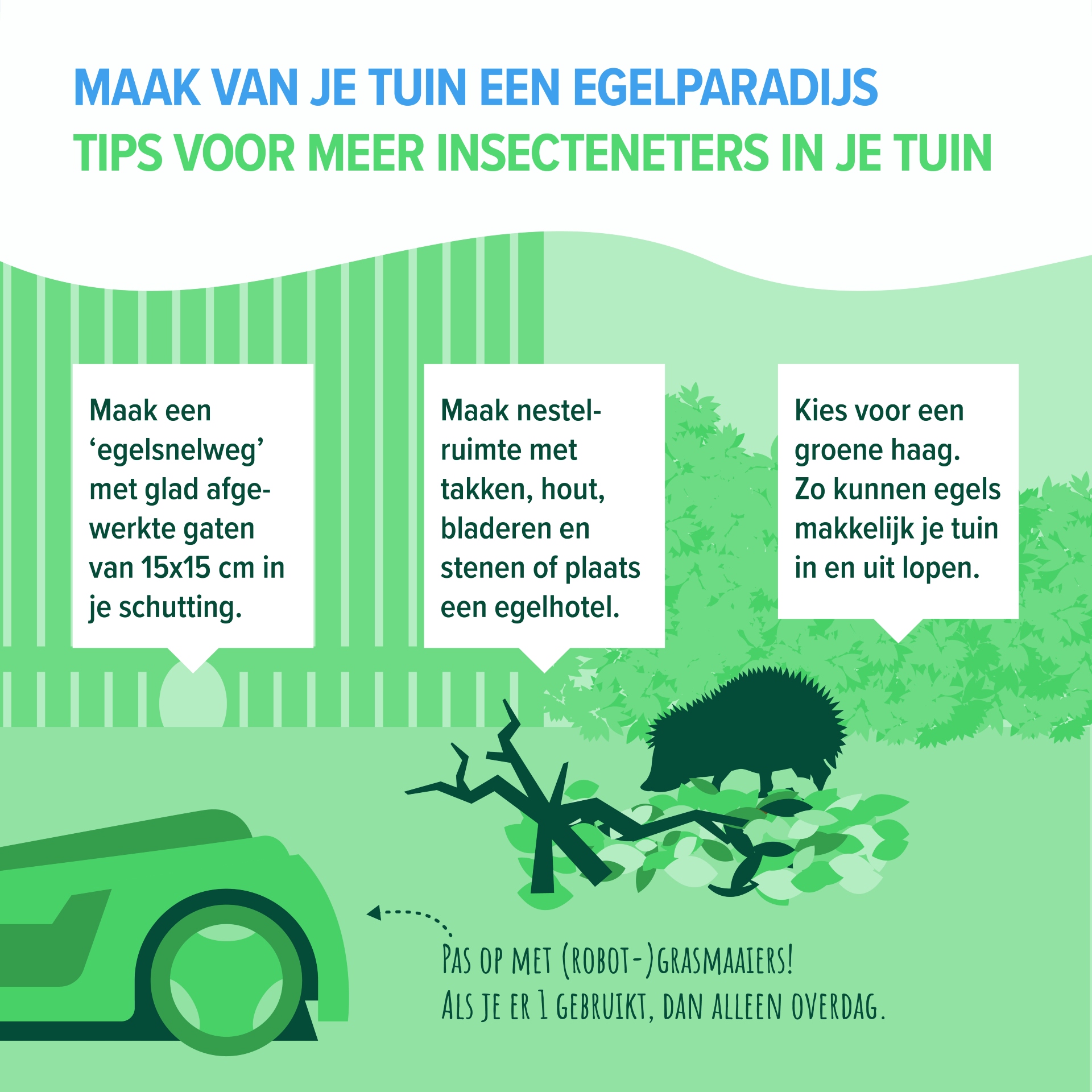 Maak van je tuin een egelparadijs